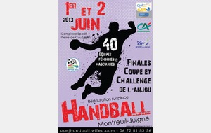 Pas de badminton le week-end du 1 et 2 juin 