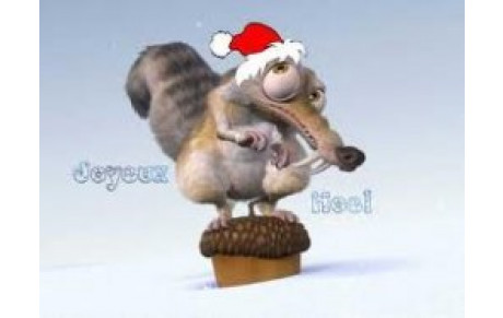 STAGE DE NOEL:MARDI 20/12/2011