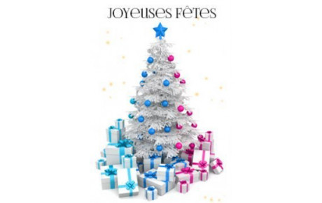 VACANCES DE NOEL