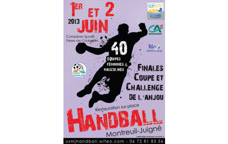 Pas de badminton le week-end du 1 et 2 juin 