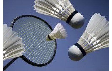 BADMINTON / DIMANCHE MATIN