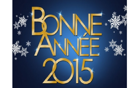 JOYEUSES FETES DE FIN D'ANNEE