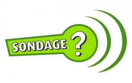 Sondage créneaux BADMINTON 