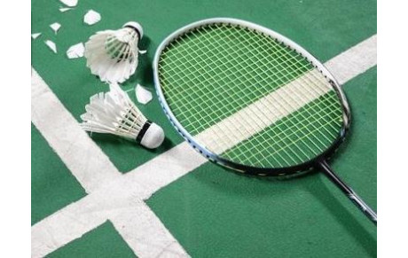 Dimanche 13/03 BADMINTON en salle BUSNEL